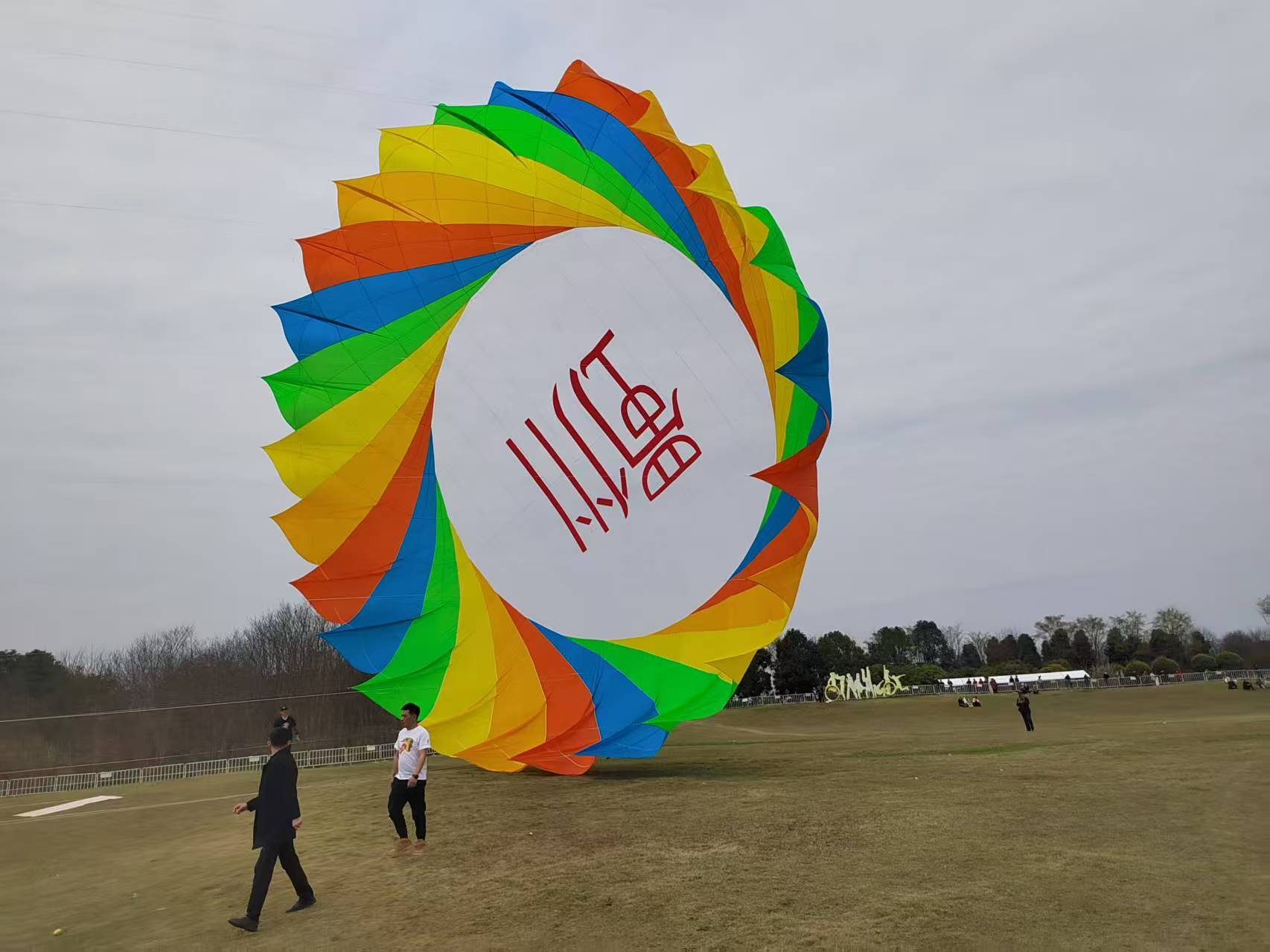 毕节市宣传风筝定制风筝批发 - 方案