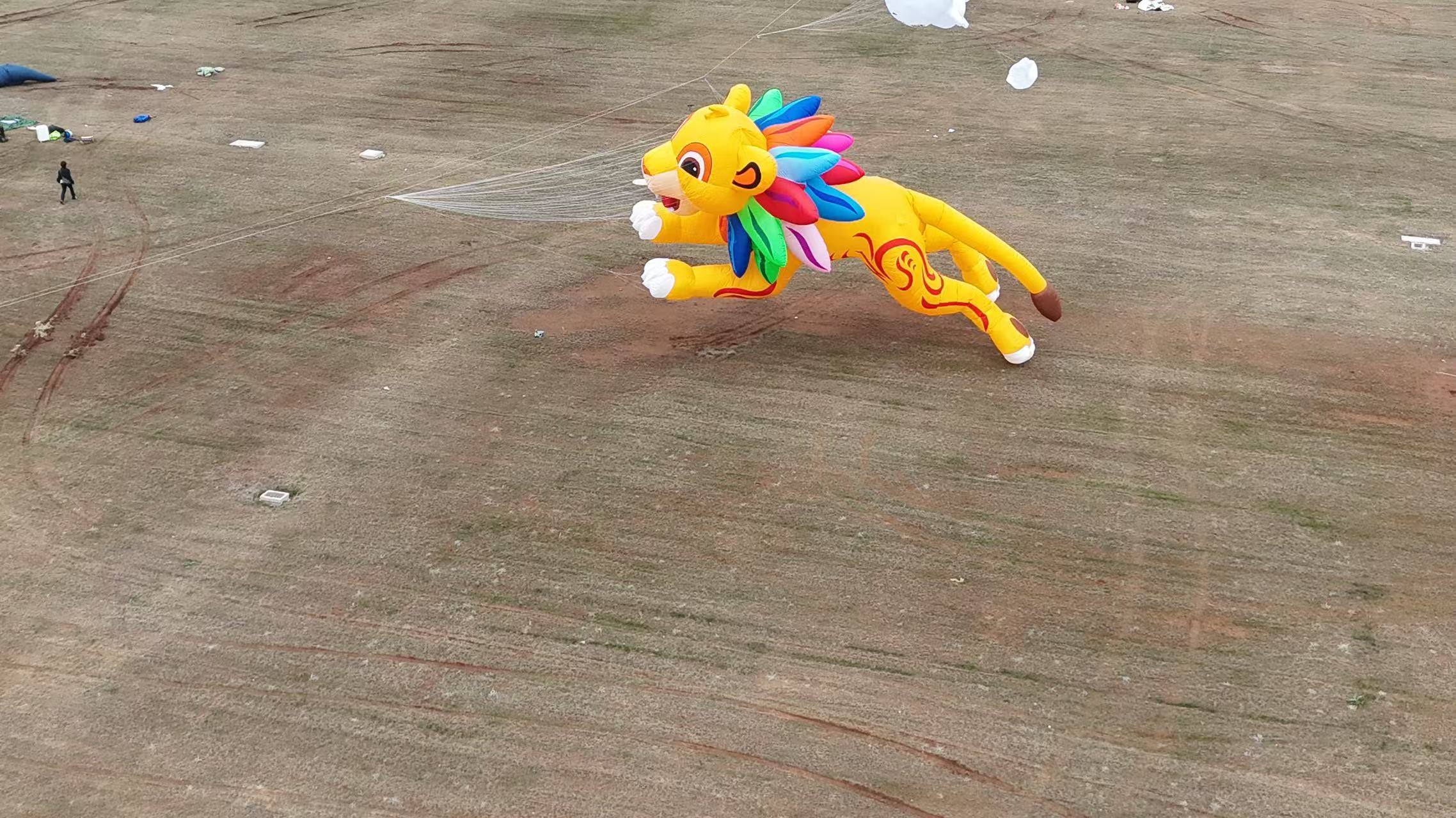 毕节市品牌风筝定制风筝加工 - 价格