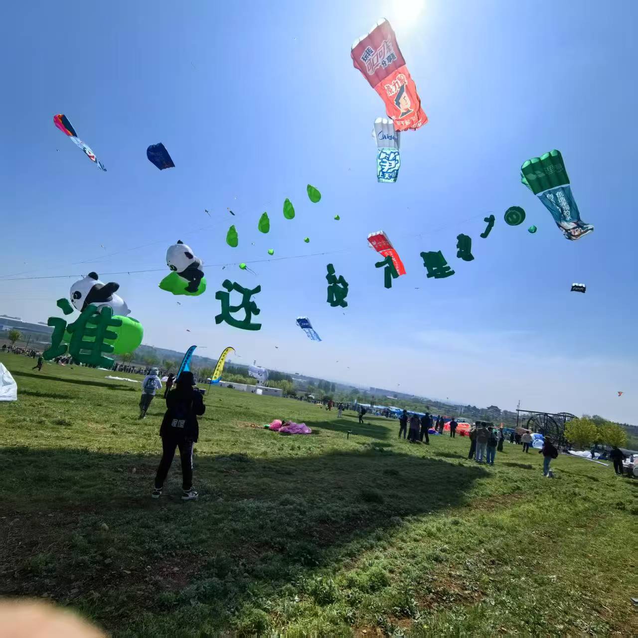 毕节市风筝DIY风筝定制 - 一站式服务